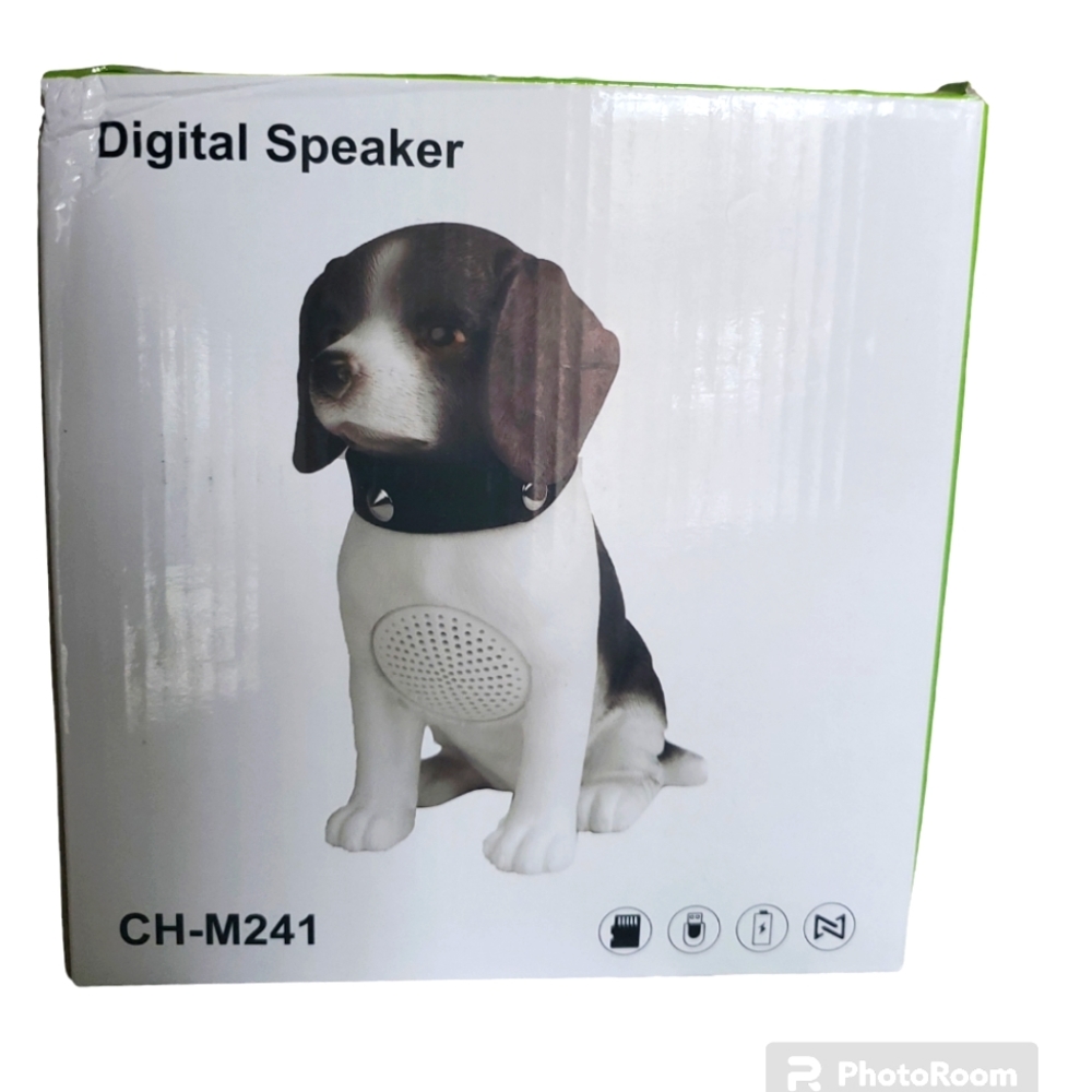 Digital Speaker